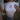 BATWING SLEEVE T-SHIRT WITH I LOVE MEN CROSSED OUT - BATWING SLEEVE BEACH