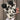 BLACK AND WHITE PATTERN PHONE CASE MAGSAFE COMPATIBLE