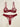 BURGUNDY DITSY FLORAL LINGERIE SET DROP WAIST BRIEFS