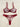 BURGUNDY DITSY FLORAL LINGERIE SET DROP WAIST BRIEFS
