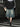 DISTRESSED DENIM SHORTS VINTAGE WASHED DISTRESSED