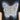 ENCHANTED BUTTERFLY OVERSIZED TEE BUTTERFLY OVERSIZED