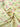 FLORAL PRINT YELLOW CAMISOLE Y2K SLIM FIT FASHION TOP