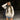 GRAY STAR-PATTERNED HOODED ZIP-UP SWEATSHIRT STAR HOODIES JACKET