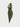 HALTER-NECK RUCHED DRESS – ELEGANT DRESS WITH COMFORTABLE FIT