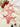 KISS PRINT BODYSUIT CONTRAST MESH DETAILS