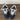 NAVY SKATER SNEAKERS: SKATER CLASSIC PAIR