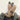 PAIR OF KNIT FABRIC HAND WASH OPERATION GLOVES
