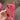 PINK PHONE CASE RETRO Y2K LENS PROTECTION