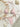 SEASHELL BIKINI COMFORTABLE FIT HIGH STRETCH
