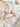 SEASHELL BIKINI COMFORTABLE FIT HIGH STRETCH