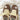 STAR BROWN VEGAN LEATHER SNEAKERS