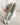 STRIPED TIGHTS ELEGANT CONTRAST SEAM LINE HOSIERY