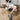 WOMEN GALAXY KNIT SOCKS PAIR FOR PANTYHOSE AND HOSIERY WEAR
