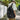 1pc Schoolbag retro backpack Korean