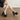 Elegant High-Heel Pumps with Bow Detail