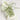 1 Pair Wavy Mesh Widened Shoelaces