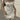 Elegant Square Neck Lace Trim A-Line Dress