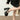 Elegant High-Heel Pumps with Bow Detail