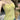 Elegant Halter Neck Top