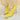 Elegant Pointed Toe High Heels