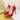 Fashion Stiletto High Heels