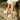 Elegant White Platform High Heels