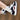 ALL-SEASON LOW TOP CASUAL SNEAKERS WITH RUBBER SOLE AND PLAIN TOE
