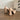 Elegant High-Heel Pumps with Bow Detail
