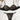 BLACK SKULL CONTRAST LACE UNDERWEAR SET