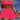 BLACK TWO PIECE SWIMSUIT SOLID COLOR HIGH STRETCH ELASTANE FABRIC