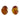 BROWN GOLD RIM EARRINGS ZINC ALLOY AESTHETIC EARRINGS