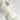 1 Pair Wavy Mesh Widened Shoelaces