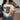 CASUAL KNIT FABRIC FOR APPAREL WITH ANIMAL AND POSITIONING PRINTING