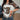 CASUAL KNIT FABRIC FOR APPAREL WITH ANIMAL AND POSITIONING PRINTING