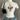 CAT PRINT MANNEQUIN OUTFIT DISPLAY FORM