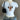 CAT PRINT MANNEQUIN OUTFIT DISPLAY FORM