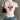 CAT PRINT MANNEQUIN OUTFIT DISPLAY FORM