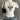 CAT PRINT MANNEQUIN OUTFIT DISPLAY FORM