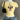 CAT PRINT MANNEQUIN OUTFIT DISPLAY FORM