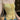 Elegant Halter Neck Top