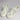 1 Pair Wavy Mesh Widened Shoelaces