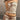 COLLAR BANDEAU TOP FABRIC TEXTURE GUIDE FOR MICRO ELASTICITY