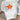 COLLAR CREW NECK T-SHIRT WITH PRINTING FOR MEN AND WOMEN