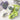 COLORFUL SOCKS PACK OF THREE PAIRS FOR CASUAL WEAR