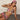FLORAL LEOPARD BIKINI SET ELASTANE FABRIC TEXTURE