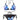 FLORAL PRINT BIKINI: SUMMER BLOOM SEXY FLORAL PRINT