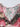 FLORAL PRINT HALTER TOP WITH VINTAGE FLORAL DESIGN - S - Sweetheart Supplies