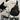 GRAY NYLON SLING BAG CASUAL NYLON OPTION
