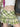 GREEN PLAID MINI SKIRT Y2K FASHION